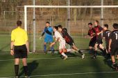 IMG_7346.JPG