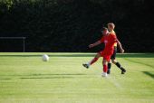 alb35_img3270.jpg