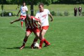 IMG_4549.JPG