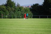 alb35_img3258.jpg