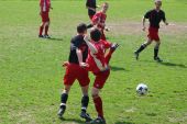 177_7707.JPG