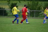 IMG_2511.JPG