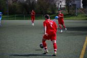 alb44_img2245.jpg