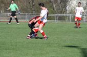 IMG_3430.JPG