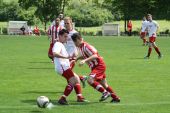 IMG_4453.JPG