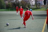 alb44_img2246.jpg