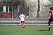IMG_3374.JPG