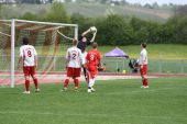 IMG_4131.JPG