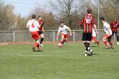 IMG_3331.JPG