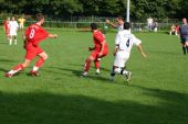 alb36_img7075.jpg