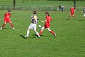 188_8810.JPG