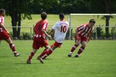 IMG_4446.JPG