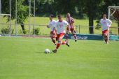 IMG_4536.JPG