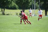 IMG_4564.JPG