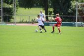 IMG_6333.JPG