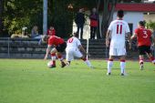 IMG_8021.JPG