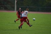 alb64_img4675.jpg