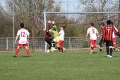 IMG_3382.JPG