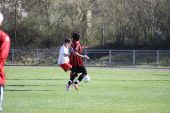 IMG_3449.JPG
