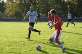 IMG_9250.JPG