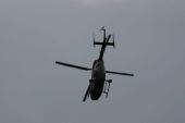 alb39_img6380.jpg