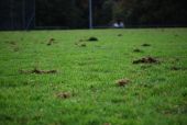 DSC_0375.JPG