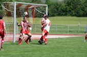 IMG_4558.JPG