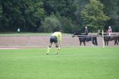 IMG_6925.JPG