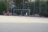 IMG_9009.JPG