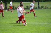 IMG_4462.JPG