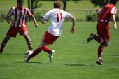 IMG_4524.JPG