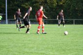 IMG_9910.JPG
