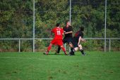 DSC_0157.JPG