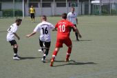 IMG_0642.JPG