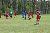 IMG_1000.JPG