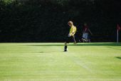 alb35_img3167.jpg
