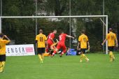 IMG_1263.JPG