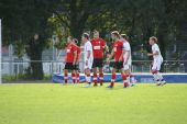 IMG_7985.JPG