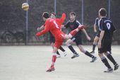 IMG_3447.JPG