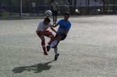 IMG_8525.JPG