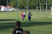 IMG_9776.JPG