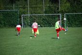 alb35_img3033.jpg