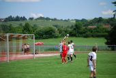 alb74_img5508.jpg